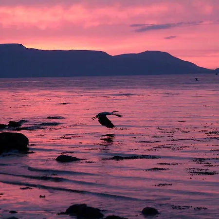 Bertra On Clew Bay, Westport, Mayo 韦斯特波特